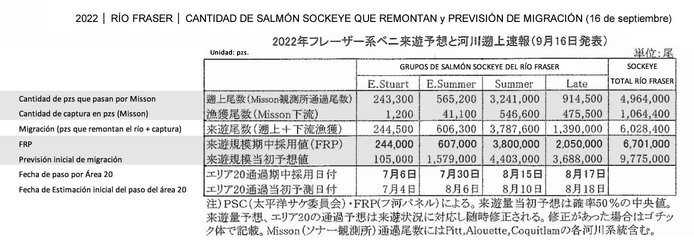 2022092104esp-Cantidad de sockeye salmon y pink salmon que remontan Fraser River y Migracion3 FIS seafood_media.jpg
